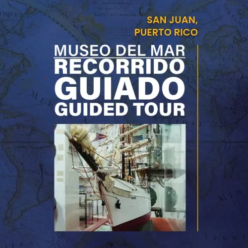 Guided Tour Tickets Museum